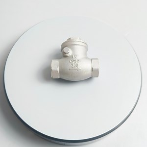 [Hot Item] Factory Directly Supplier Stainless Steel 304 316 Spring Check Valve Female Thread Stainless Steel Check Valve