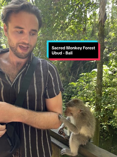 Emily & Tommy on TikTok