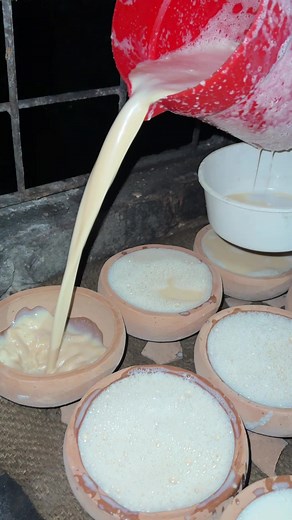 9.1K views · 76 reactions | Yogurt make from milk | Foodie Bro | Facebook