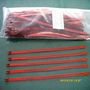 [Hot Item] Epoxy PVC Coated Ladder Stainless Steel Cable Ties for Ship