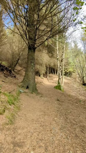 On a hill climb in beautiful Fifeshire. Beautiful weather and bird song & nature springing to life. This is one and a half hours steep climb at the beginning and scree at the top. Taxing on the old legs but The view at the top was breathtaking. . Glad I did this. #naturewalk #scottishwalks #Kinross #perthandkinross | Deedesigns