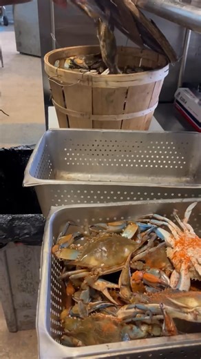 Mr. Fish - Seafood Market & Grill on Reels