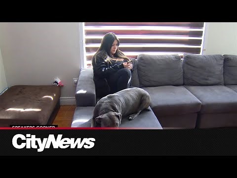 Victims of ongoing online harassment say fighting back is a struggle