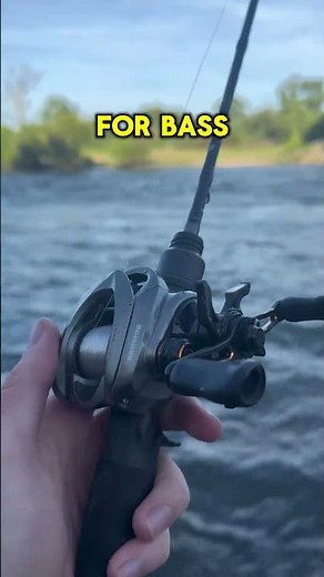 🎣 Fishing Bass vs Catfish: What’s the Difference?
