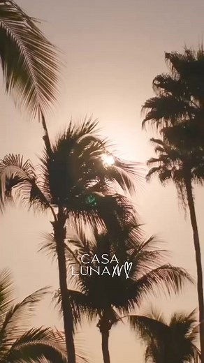 4.7K views · 20 reactions | ¡Descubre el nuevo vestido de 15 años de...