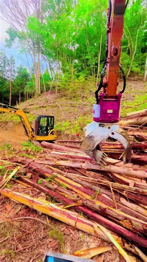 原声 - Ai music Studioを使っている好青年なんば.nanba.708.🚀💦 (@nanba708)の動画