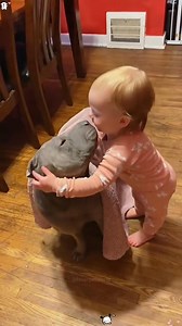 619K views · 11K reactions | CUKIIIIIIIIIIIIII!邏沈沈 #cukivagy #cuki | Meglepkék | Facebook