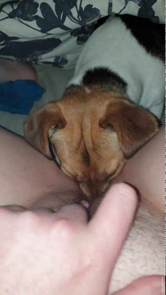 Dog deeply licks naughty woman