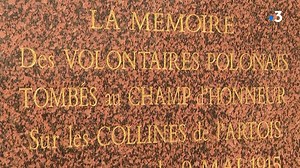 37K views · 952 reactions | Les Polonais, les premiers immigrés...