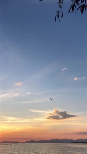 spontanica on TikTok