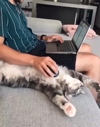 I finally found the perfect mousepad. | Jonathan Blank Films