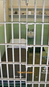 12 reactions | This tiktoker has mastered AI voice thing man. Wonder if his is custom made, I don’t think this version is available online much like the AI singing like Drake and the others. These are customs. | The Crystal Evans | Facebook