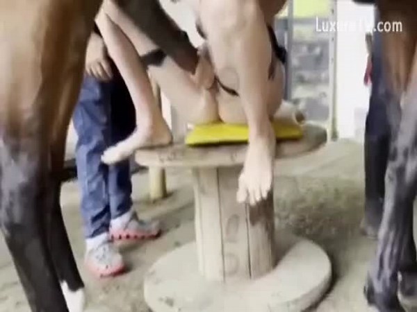 Brutal Horse Fuck Compilation