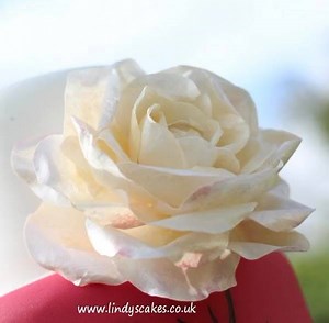 1.5K views · 113 reactions | Getting ready for next weeks class and as I'll be teaching a few wafer paper techniques, I thought share these with you. Have you tried working with wafer (rice) paper yet? | Lindy's Cakes | Facebook