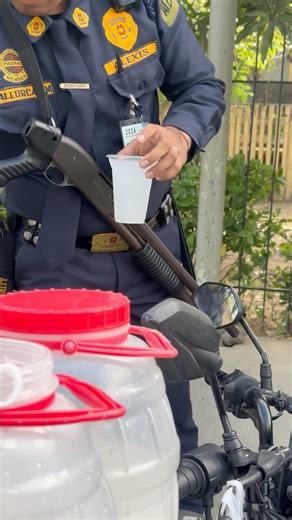 Bang bang vang buko coconut 🌴 juice! #manila #bukojuice #philippines | Anthony Homer Cycling 尤薩