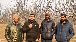 49K views · 330 reactions | AFI Agro Sheep Feed is a balanced...