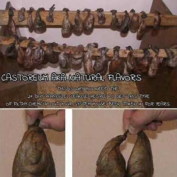 Be careful what you eat part 1 Castoreum aka natural flavor
