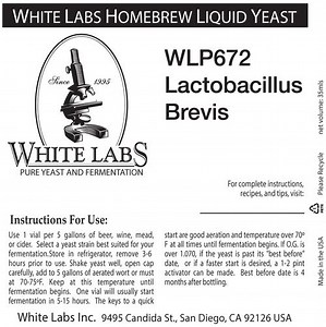 Lactobacillus brevis - Alchetron, The Free Social Encyclopedia