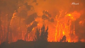 Navy base impacted by out of control bushfires in Nowra