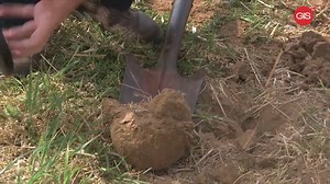 Soil survey initiative | GIS Grenada