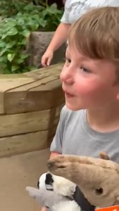 118K views · 3.8K reactions | This is Easton, and this was the first...