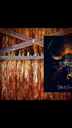 THE RAW EDITION CANDLE COMPANY EXCLUSIVE TORO NOIR Tilted Crown...