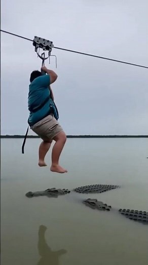 Crocodile Launches from Water Grabbing Zipline Rider Mid-Flight