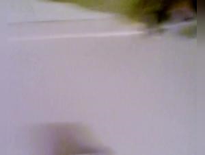 Milly Dog Sex Hardcore
