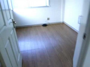 ギニアワーム病の症状、治療、伝播、原因 - 健康 2026