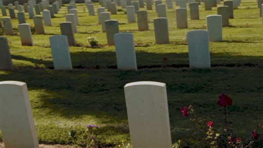 🇺🇸 We honor the fallen who stood for our freedom. Remember the reason for this holiday weekend! 🫡 #TMPA #Memorialweekend #honorthefallen #USA #Merica | TMPA