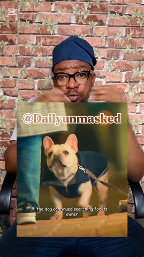 20K views · 1.2K reactions | The elderly woman and the companion dog #Storytime #viralvideoシ #foryou #highlightseveryone | Daily Unmasked | Facebook