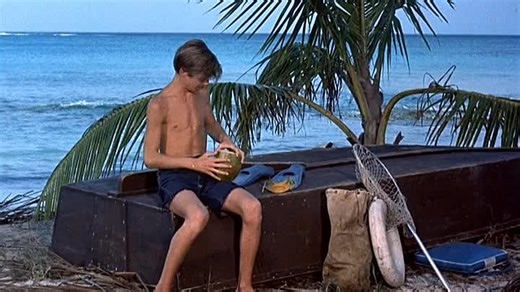 Flippers New Adventure (1964) 🌻 Animation & Family Movies