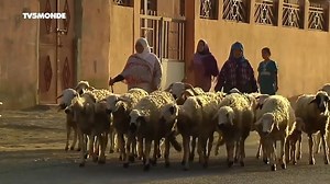 12K views · 284 reactions | Au pied des montagnes de l'Atlas, des...