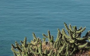 【新迷幻/音乐节现场】DUNAJAM - From the Sun to the Moon（CAUSA SUI "Tropic of Capricorn"）