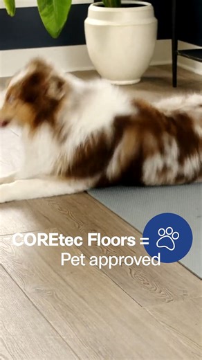 COREtec floors can stand up against the zoomies 🐶 🐱 Featuring: COREtec Originals - Vintage Taupe Ash #COREtec #COREtecflooring #luxuryflooring | COREtec Floors