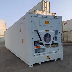 [Hot Item] Carrier 40hq Thermo King Reefer Container Competitive Price Frozen Storage Shipping Steel Containers
