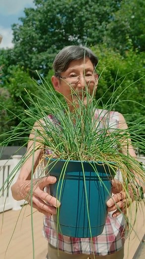 33K views · 2.8K reactions | Homemade Pasta  #paste #homemadepasta | Lynja | Facebook