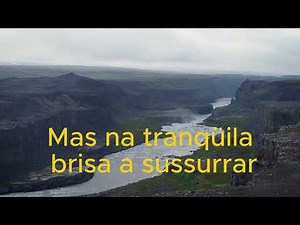 Calma, Mansa, Serena Playback