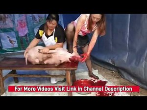 A Beautiful Girl Slaughter a Pig | Slaughter Vlog