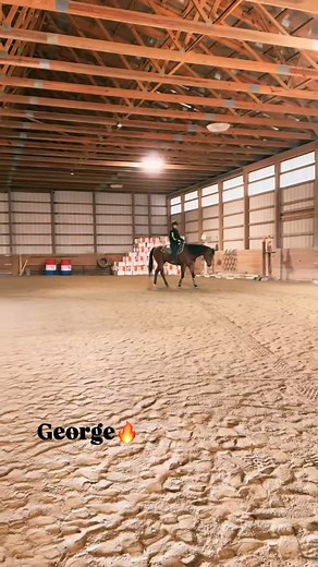 Tessa & George puttin in the work 😮‍💨 #horsebackridinglessons #bgperformancehorses #horse #horseriding #horsesofinstagram #aqha #horsebackriding #quarterhorse #western #bayquarterhorse | BG Performance Horses