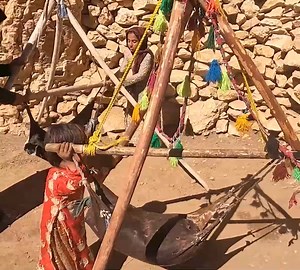 3.5K views · 137 reactions | All the steps of converting goat milk into local butter in the nomadic camp | Grandma Cooking | Facebook