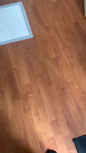 #puppies #puppyvideos #puppyoftiktok #whereisthefloof #dog #puppyoftheday #fyp