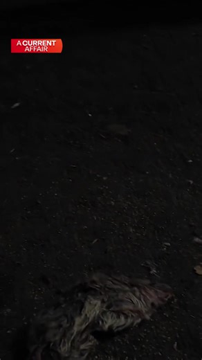 25K views · 134 reactions | The raw unfiltered reality of breaking into the property market. One Perth woman is on a mission to show exactly what half a million dollars gets you. Full story TONIGHT on Channel 9 and 9Now. #9ACA | A Current Affair | Facebook