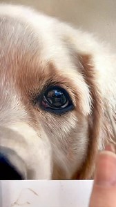 9.6K views · 36 reactions | Paola Luther Art on Reels | Facebook