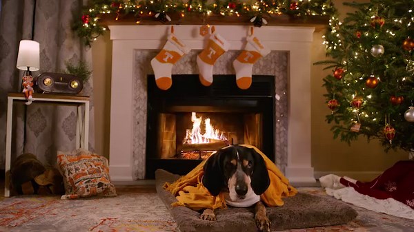 3.4K views · 253 reactions | Wishing our Volunteer family a warm and happy holiday season. Join Smokey for eight straight hours of cozy: tiny.utk.edu/yule-log | University of Tennessee, Knoxville | Facebook