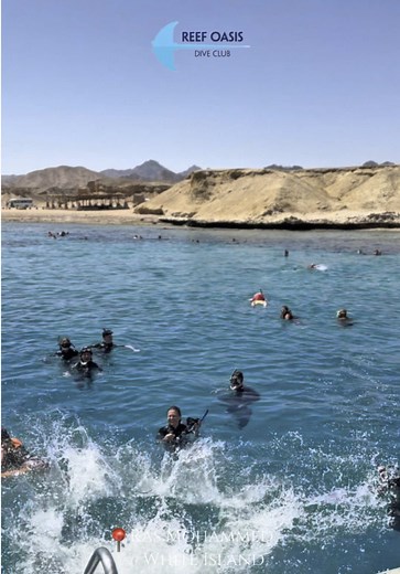 Explore Ras Mohammed & White Island with Reef Oasis Dive Club Vibrant reefs, marine life, and crystal-clear waters — all in one unforgettable trip! 🌊🩵 ✅ Includes: ✅ Mask, fins, life jacket & wetsuit (winter only) ✅ Transfers to and from Sharm El Sheikh ✅ Marine park fees ✅ Food & soft drinks ✅ Delicious seafood lunch Contact us to book: 📞 WhatsApp/Call: 20 106 153 3391 📧 Email: info@reefoasisdiveclub.com 🌐 Website: www.reefoasisdiveclub.com #ReefOasisDiveClub #SnorkelingTrip #WhiteIsland #R