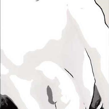 Programa Clap - R video explicativo