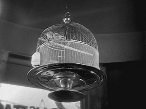 Greed (USA, 1924) dir. Erich von Stroheim | Cinema, mon amour