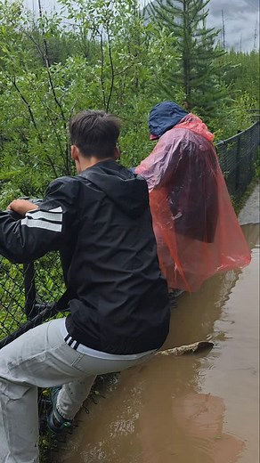 Mission impossible to avoid getting dirty LOL #canada #canadianrockies #kootenay #kootenaynationalpark #marblecanyon #rain #dirty #missionimpossible | Sonia Pazos de Diego