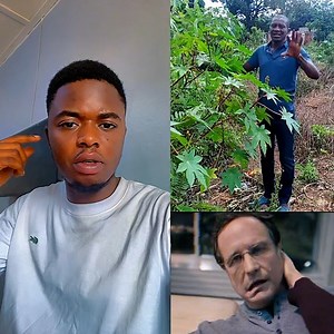 507K views · 14K reactions | ️recette contre l’AVC et la paralysie. La nature protège et guérit | Martin de MRT | Facebook